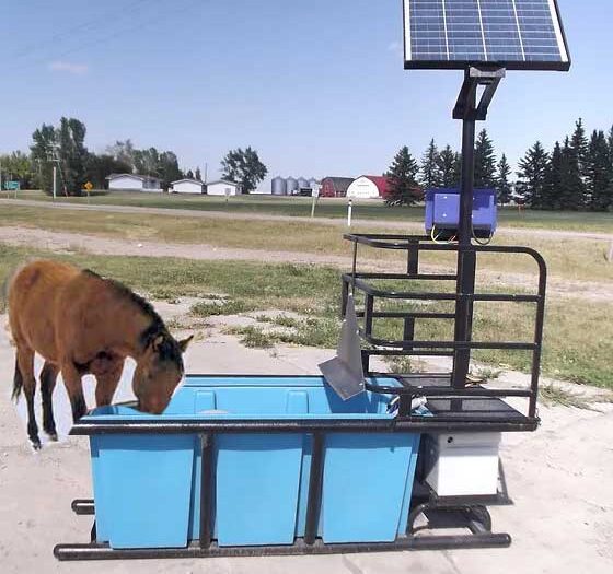 Solar Water Trough Heater for Livestock